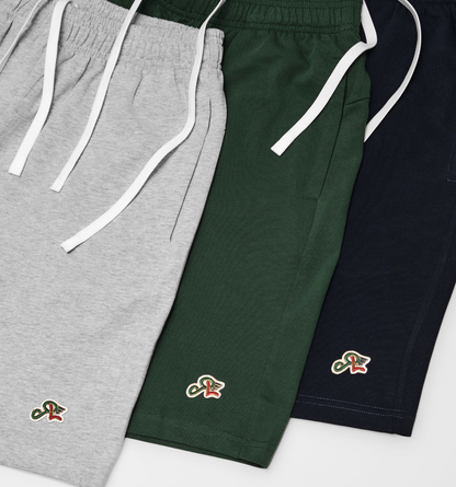 Retired Elevated R Logo Short